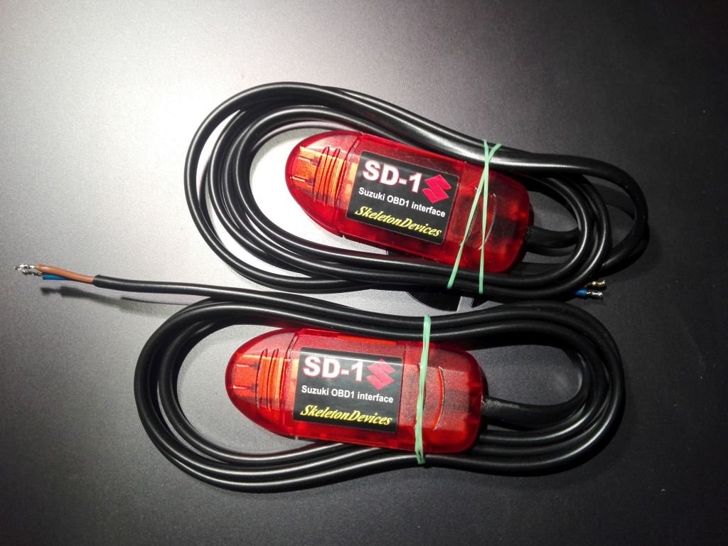 sd11.jpg